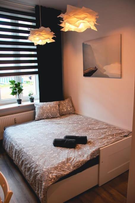 *Apartamenty Kattowitz 12 Екстер'єр фото
